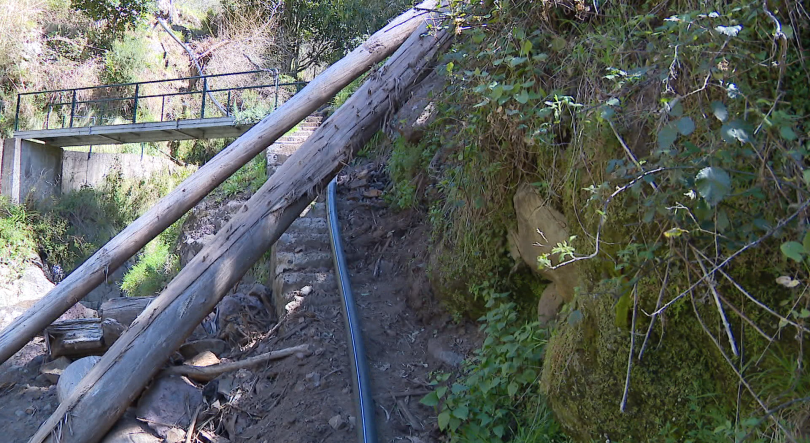 Imagem de Vereda condicionada por eucaliptos preocupa agricultores (vídeo)