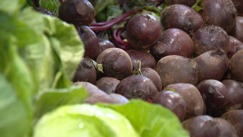Imagem de Dieta mediterrânica na prevenção de doenças crónicas (vídeo)