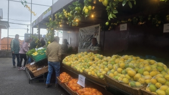 Imagem de Produtores de limão pedem mais apoio no escoamento do produto (áudio)