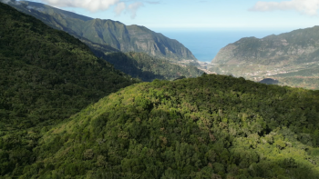 Imagem de Pressão ambiental em 90% dos sítios protegidos (vídeo)