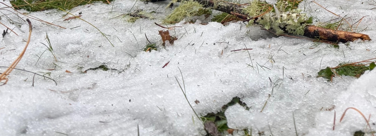 Imagem de Voltou a cair neve no picos mais altos da Região (áudio)