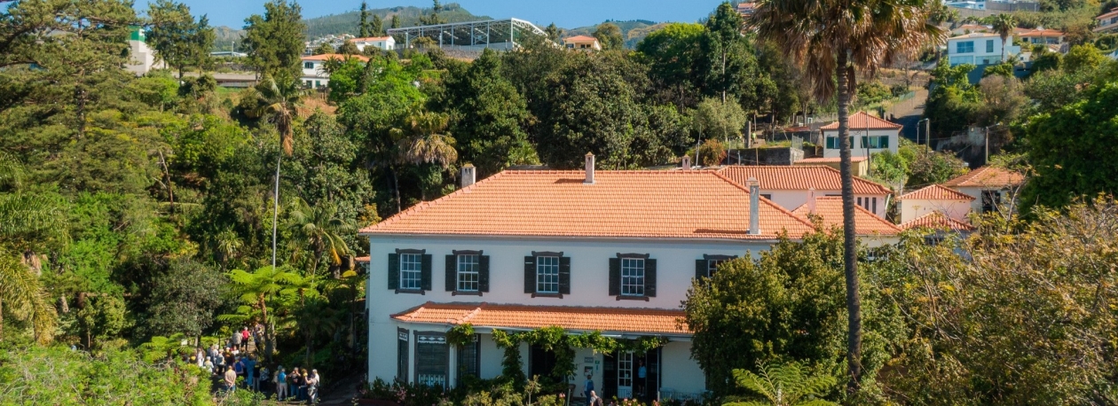 Imagem de Jardim Botânico da Madeira está a trocar plantas com a população madeirense (áudio)
