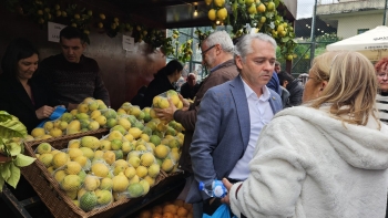 Imagem de JPP diz ao governo para pensar menos no golfe e mais na agricultura (vídeo)
