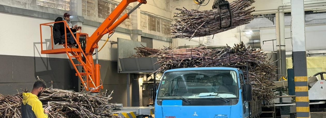 Imagem de Engenhos da Região já laboraram 2,7 mil toneladas de cana-de-açúcar (vídeo)