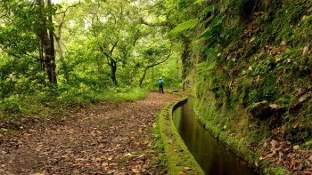Imagem de Levada do Rei reabre amanhã depois de ter estado fechada cerca de um mês