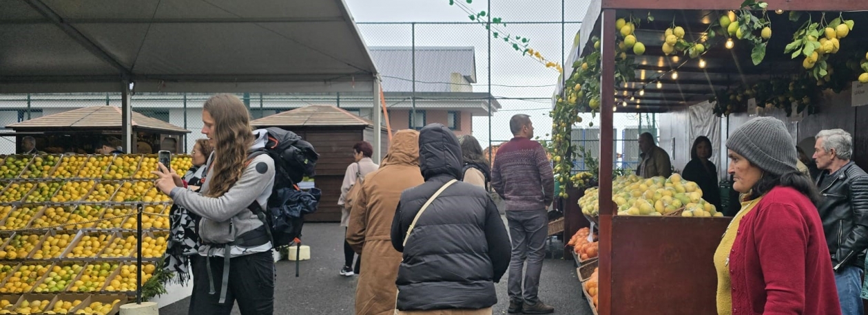 Imagem de Escoamento é o principal problema dos produtores de limão (vídeo)