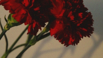 Imagem de Centro Português na Venezuela insta a preservar a memória e o legado