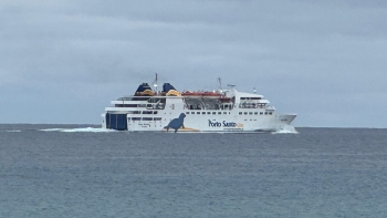 Imagem de Lobo Marinho sem descanso nos próximos seis meses
