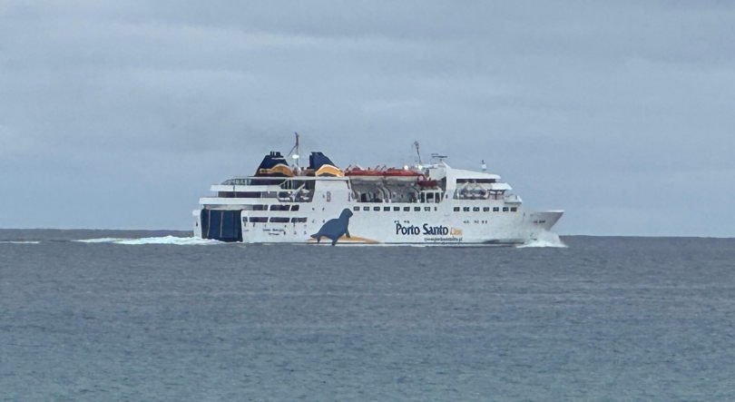 Imagem de Lobo Marinho sem descanso nos próximos seis meses