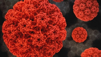 Imagem de Vacina contra o HPV alargada a mulheres de 26 anos (vídeo)