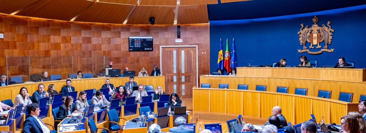 Imagem de Polémica do SSM abriu debate no plenário (vídeo)