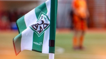 Imagem de Ribeira Brava está de regresso ao regional