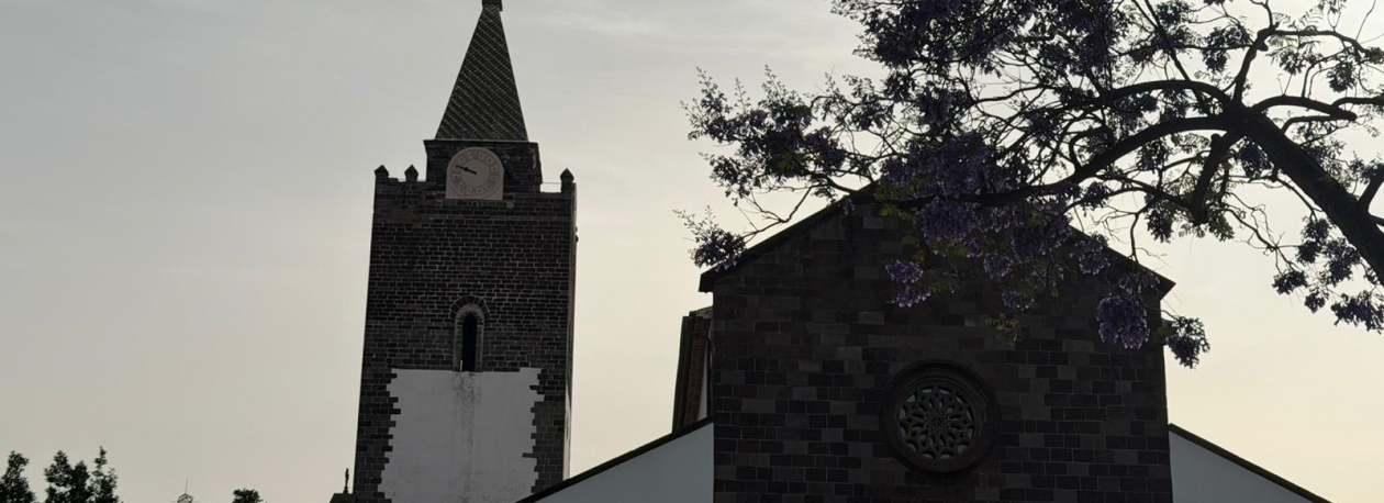 Imagem de Sé prepara projeto para requalificar a torre (vídeo)