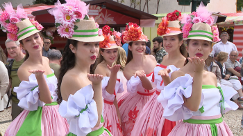 Imagem de Festa da Flor enche os hotéis (vídeo)