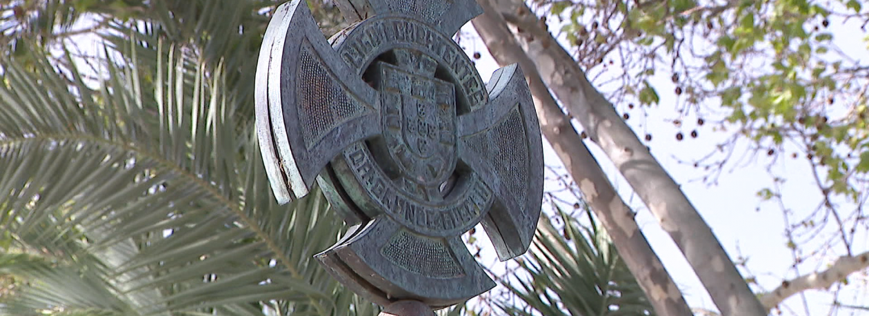 Imagem de Apoios aos antigos combatentes ainda são escassos (vídeo)