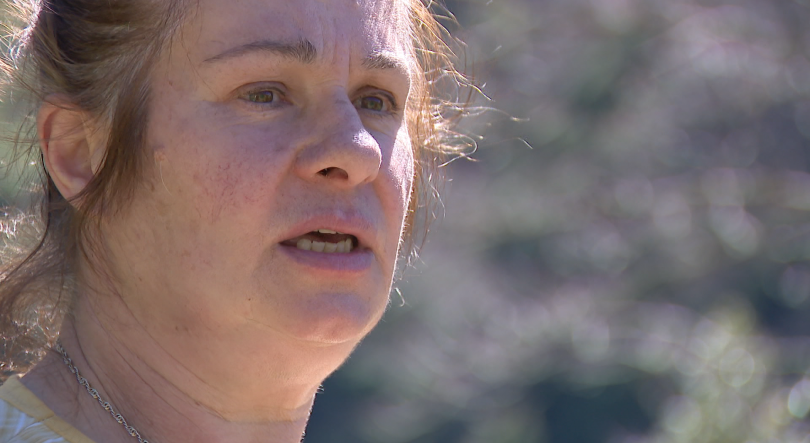 Imagem de Aqui Há História: Conceição Camacho tem cultura no Curral das Freiras (vídeo)