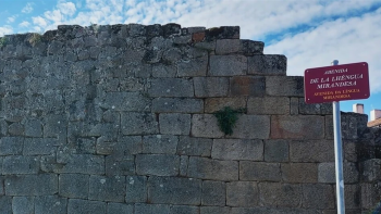 Imagem de Constituição da República Portuguesa traduzida para língua mirandesa