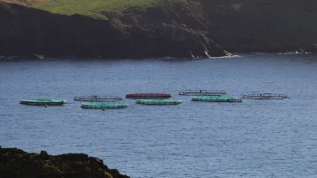 Jaulas de aquacultura terão de abandonar área protegida (áudio)