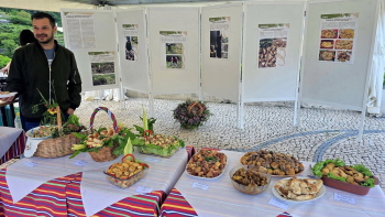 Mostra e Concurso Gastronómico do Brigalhó no Curral das Freiras (áudio)