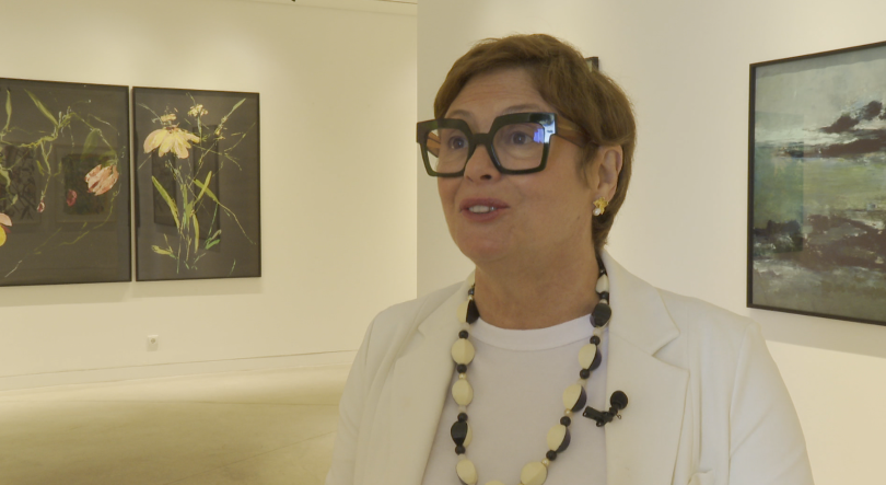 Ana Durães expõe 'Insular' até 25 de junho (vídeo)