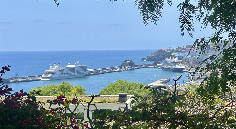 Dois navios de cruzeiro a passar a noite no Funchal