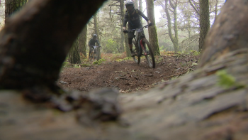 14.ª edição da Trans Madeira reúne 130 ciclistas (vídeo)