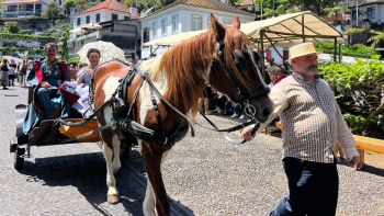 Largo da Fonte foi palco do desfile do imperador (vídeo)