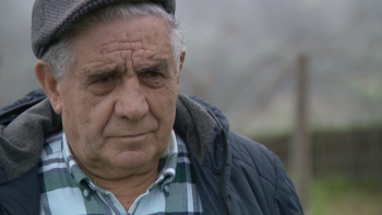 Aqui Há História: José Gouveia ainda se dedica ao gado com 80 anos (vídeo)