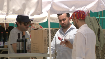 Pequenos produtores de vinho procuram novos mercados (vídeo)