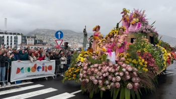 Imagem de Festa da Flor enche Madeira de cor e turistas (vídeo)