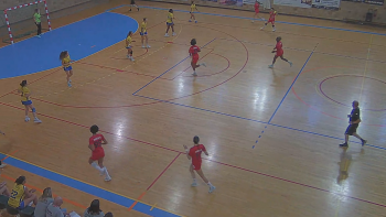 Madeira SAD venceu Academia S. Pedro do Sul por 28-27 (vídeo)