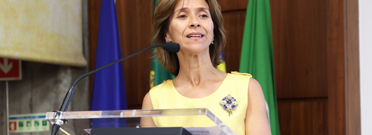 Governo Regional assegura execução das 600 camas a tempo (vídeo)