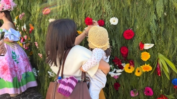 Imagem de Mais de 400 crianças deixaram uma flor no Muro da Esperança (vídeo)
