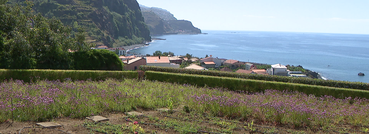 Madeira em risco muito elevado de exposição à radiação UV