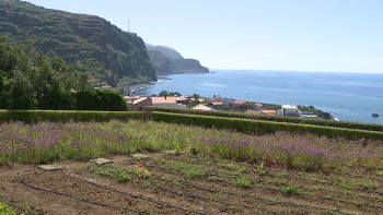 Madeira em risco muito elevado de exposição à radiação UV