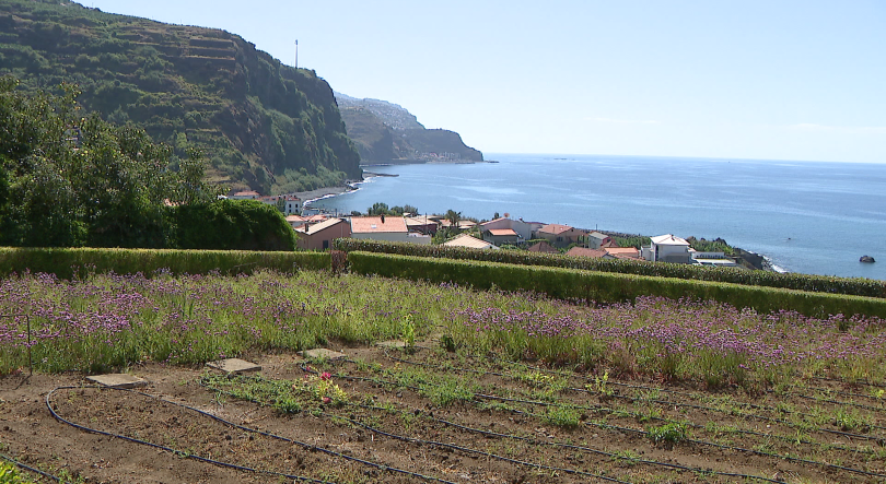 Madeira em risco muito elevado de exposição à radiação UV