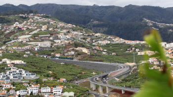 Perda de terreno de vinhas preocupa Junta de Freguesia do Estreito (áudio)
