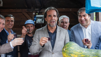 Albuquerque pede rapidez na revisão da lei das finanças regionais (áudio)