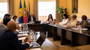 CMF notificou 136 munícipes para limpeza de terrenos à volta das habitações (aúdio)