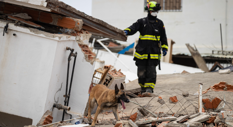 Novo abalo com 4,2 de magnitude atingiu zonas já devastadas