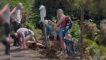 IFCN não conseguiu identificar os turistas que destruíram vedação no Fanal (áudio)