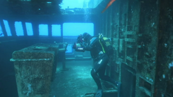 Madeira Under Water traz 74 mergulhadores à Região (vídeo)
