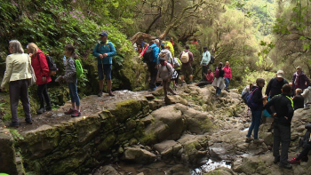 Os Limites da ilha: A experiência de viver e de visitar a Madeira está a mudar (áudio)