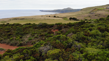 Açores sofreram uma profunda transformação nos últimos 50 anos (vídeo)