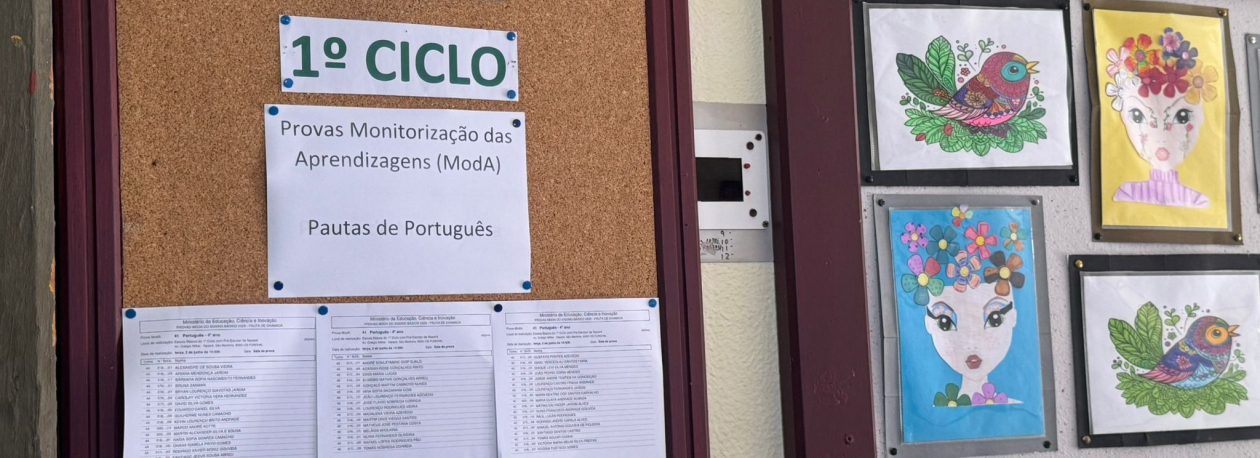 2.100 alunos do 4.º ano fizeram prova de português (vídeo)