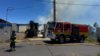 Mobilizados cinquenta operacionais em incêndio na Camacha (vídeo)