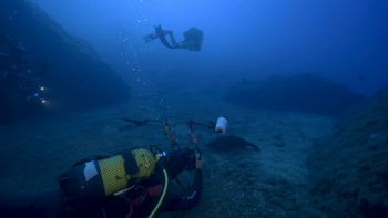 75 mergulhadores em duas competições na Madeira (vídeo)