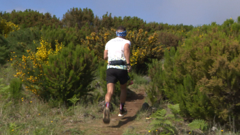 Ultra Skyrunning Madeira recebe atletas dos cinco continentes (vídeo)