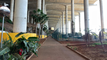 Parque Desportivo de Água de Pena vai ter um ginásio ao ar livre (vídeo)
