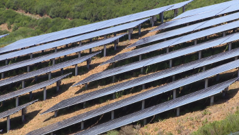 Madeira pode atingir meta de 55% antes de 2030 (vídeo)